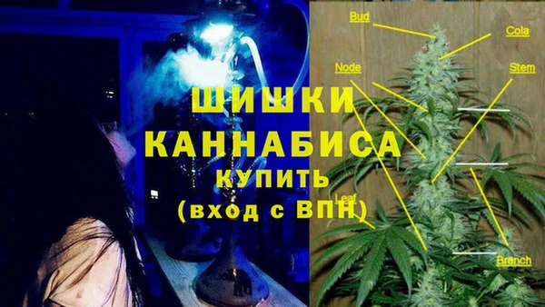 тгк Елабуга